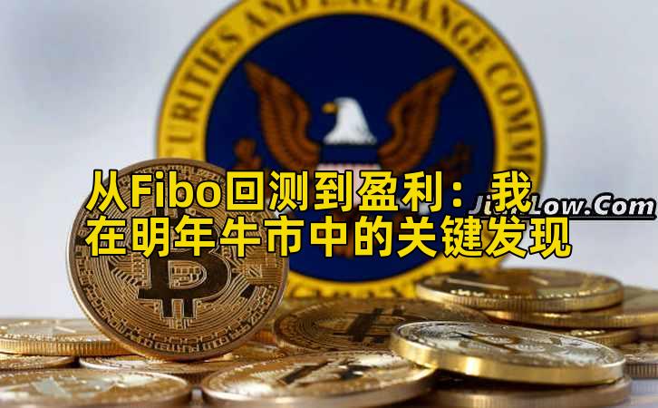 从Fibo回测到盈利：我在明年牛市中的关键发现