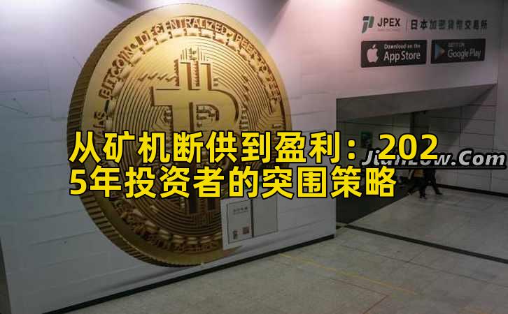 从矿机断供到盈利：2025年投资者的突围策略