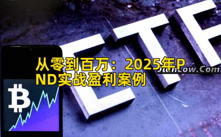 从零到百万：2025年PND实战盈利案例