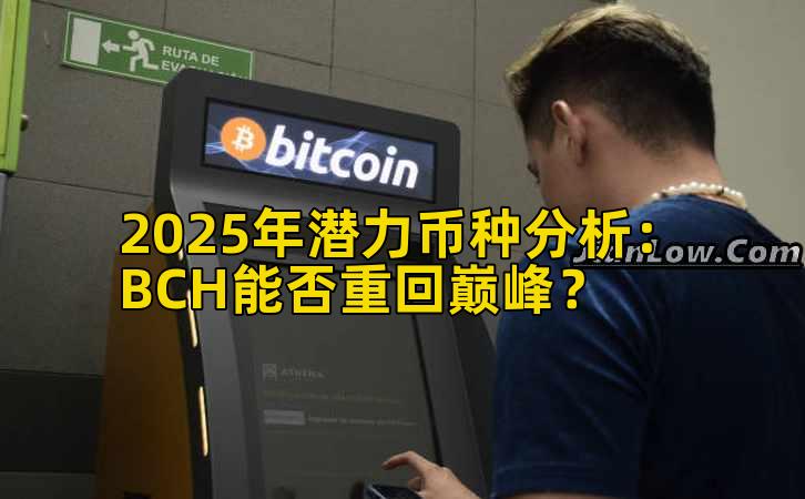 2025年潜力币种分析：BCH能否重回巅峰？