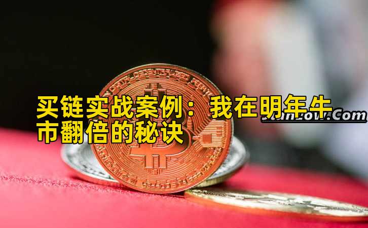 买链实战案例：我在明年牛市翻倍的秘诀