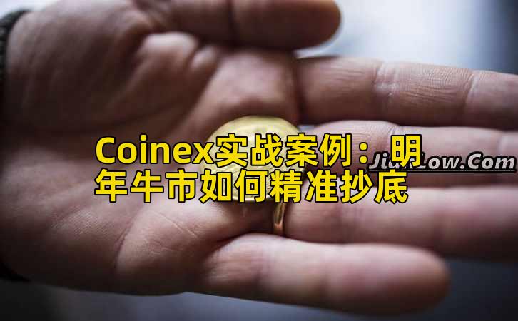 Coinex实战案例:明年牛市如何精准抄底