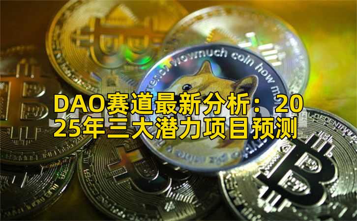 DAO赛道最新分析:2025年三大潜力项目预测