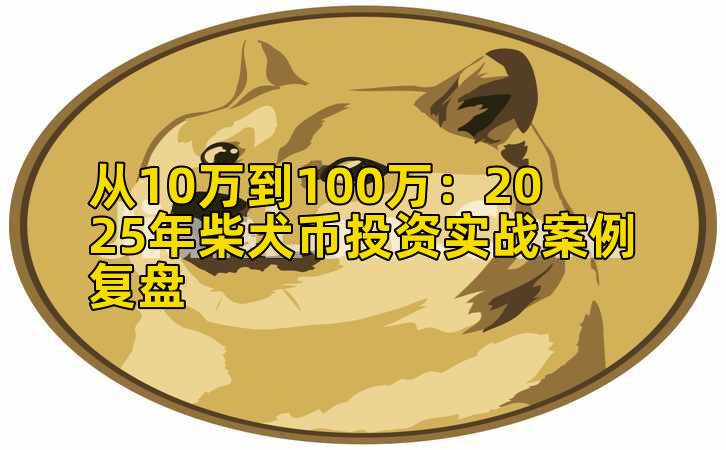 从10万到100万:2025年柴犬币投资实战案例复盘