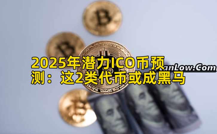 2025年潜力ICO币预测：这2类代币或成黑马