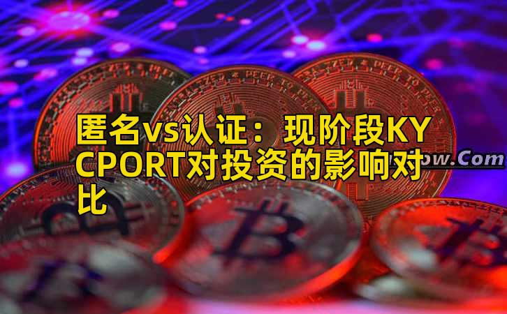 匿名vs认证:现阶段KYCPORT对投资的影响对比