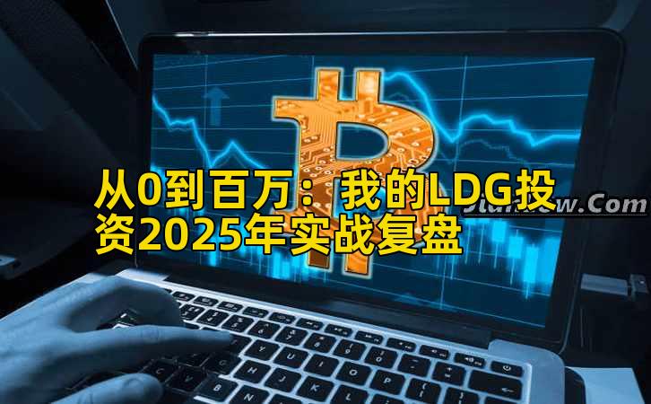 从0到百万：我的LDG投资2025年实战复盘