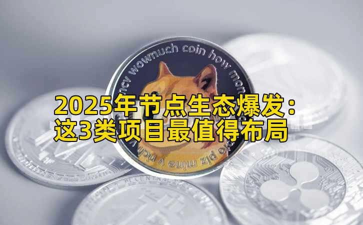 2025年节点生态爆发：这3类项目最值得布局