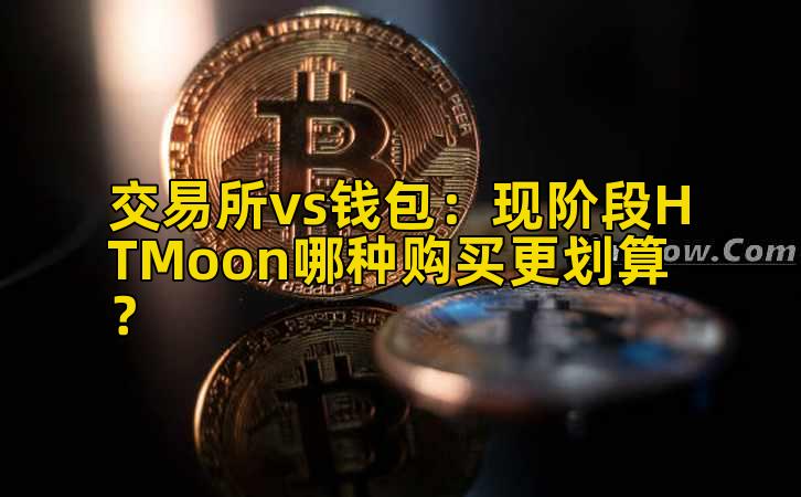交易所vs钱包：现阶段HTMoon哪种购买更划算？