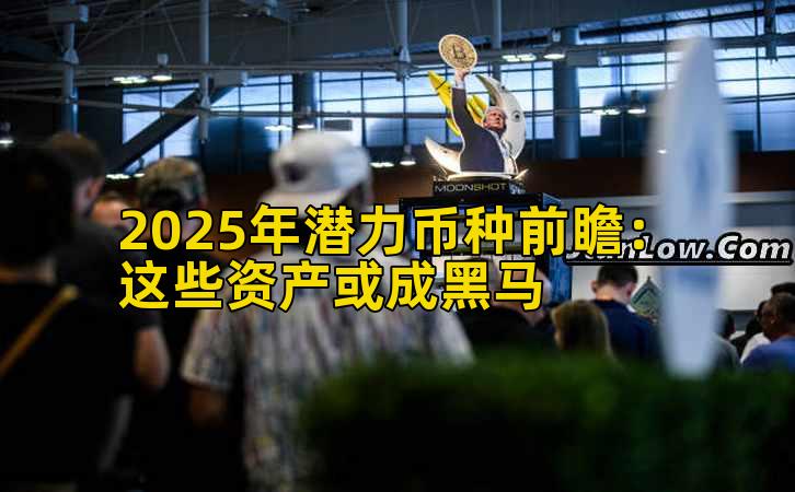 2025年潜力币种前瞻：这些资产或成黑马