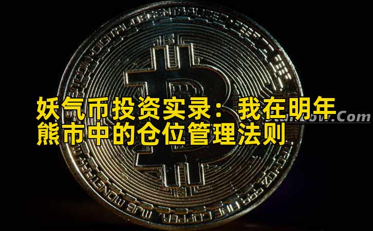 妖气币投资实录：我在明年熊市中的仓位管理法则