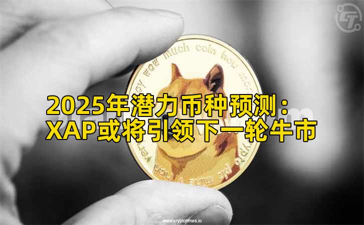 2025年潜力币种预测：XAP或将引领下一轮牛市