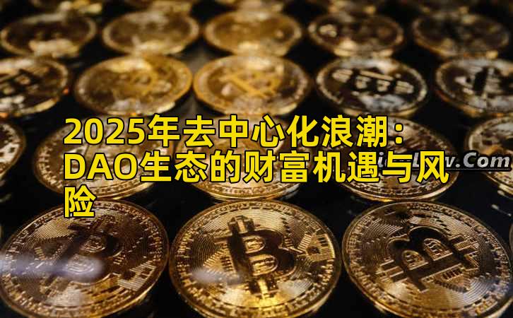 2025年去中心化浪潮：DAO生态的财富机遇与风险
