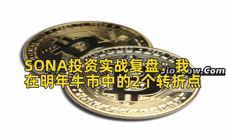 SONA投资实战复盘：我在明年牛市中的2个转折点