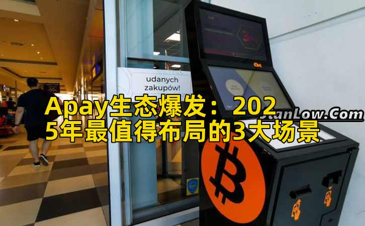 Apay生态爆发：2025年最值得布局的3大场景