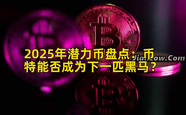 2025年潜力币盘点：币特能否成为下一匹黑马？