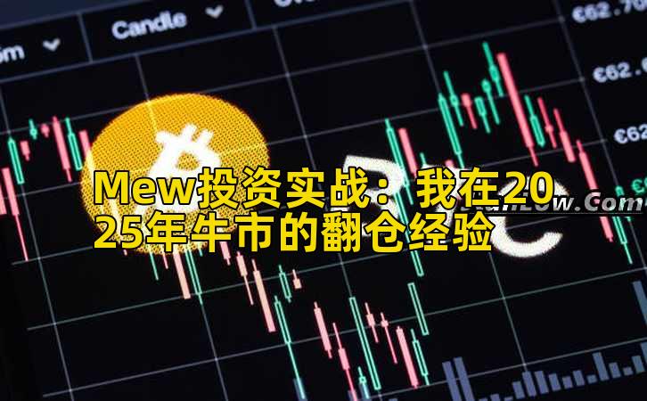 Mew投资实战:我在2025年牛市的翻仓经验