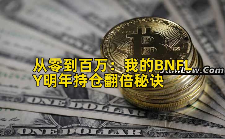 从零到百万：我的BNFLY明年持仓翻倍秘诀