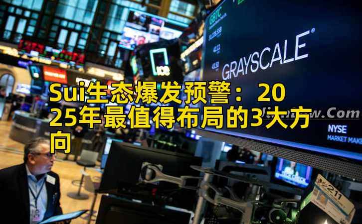 Sui生态爆发预警：2025年最值得布局的3大方向