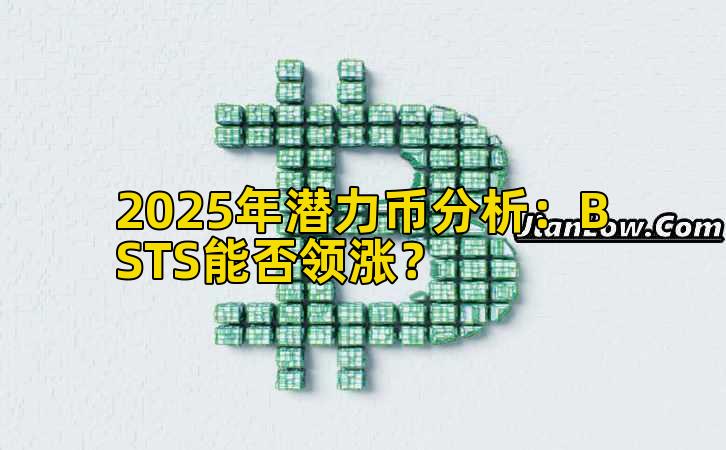 2025年潜力币分析：BSTS能否领涨？