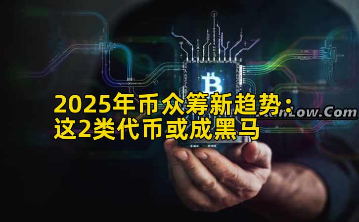 2025年币众筹新趋势：这2类代币或成黑马