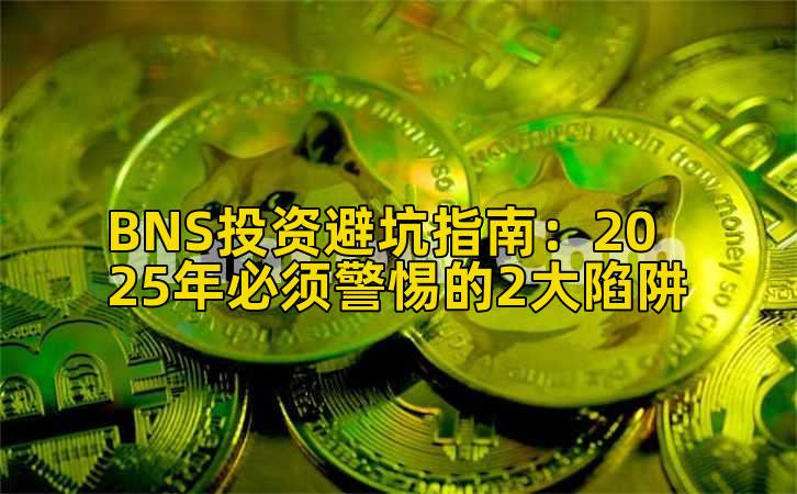 BNS投资避坑指南:2025年必须警惕的2大陷阱