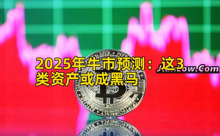 2025年牛市预测：这3类资产或成黑马