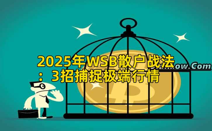 2025年WSB散户战法：3招捕捉极端行情