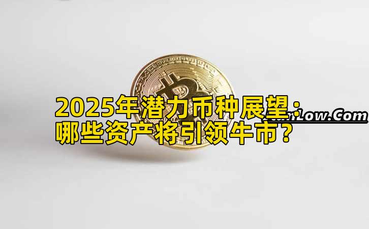 2025年潜力币种展望：哪些资产将引领牛市？