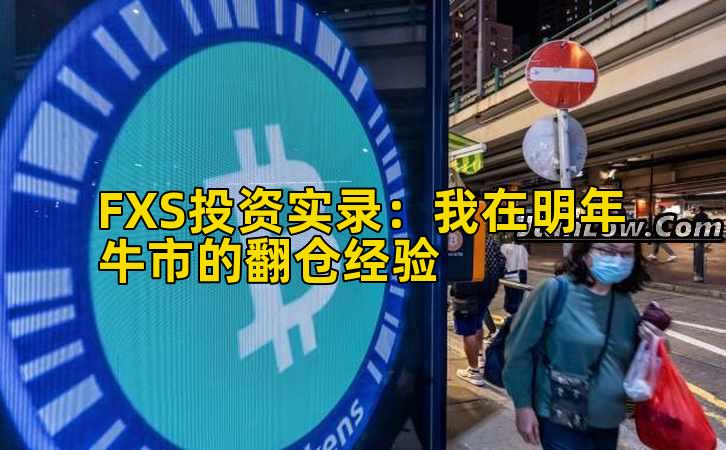 FXS投资实录:我在明年牛市的翻仓经验