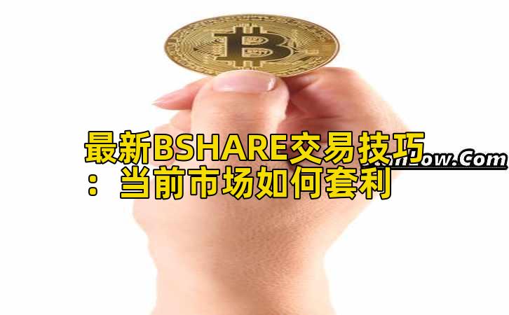 最新BSHARE交易技巧:当前市场如何套利