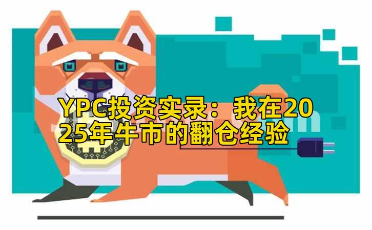 YPC投资实录：我在2025年牛市的翻仓经验