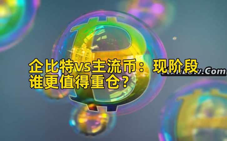 企比特vs主流币：现阶段谁更值得重仓？