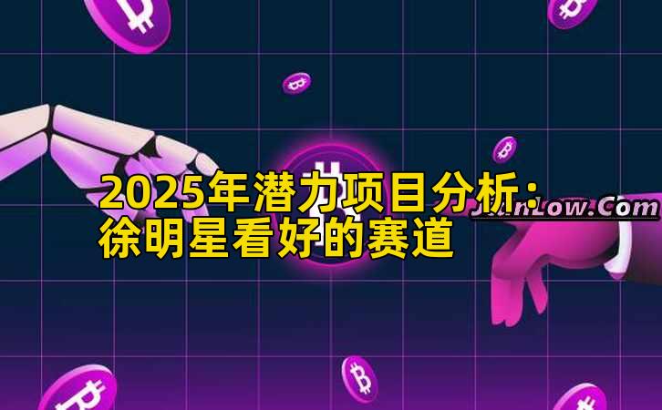 2025年潜力项目分析：徐明星看好的赛道