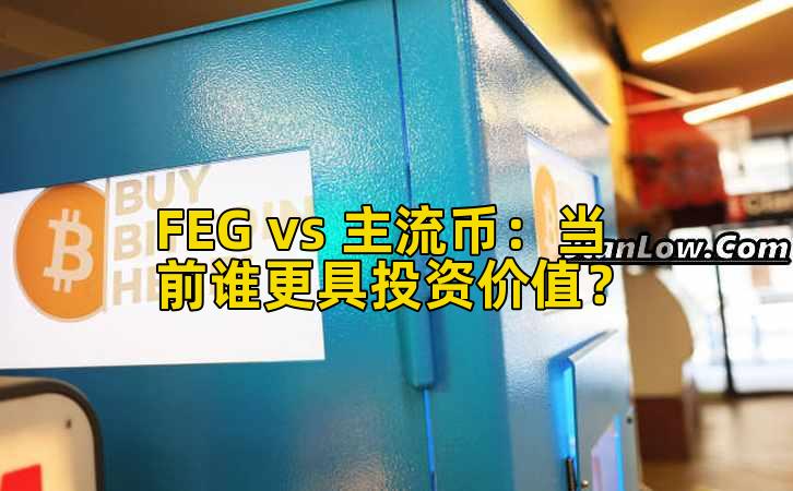 FEG vs 主流币:当前谁更具投资价值?