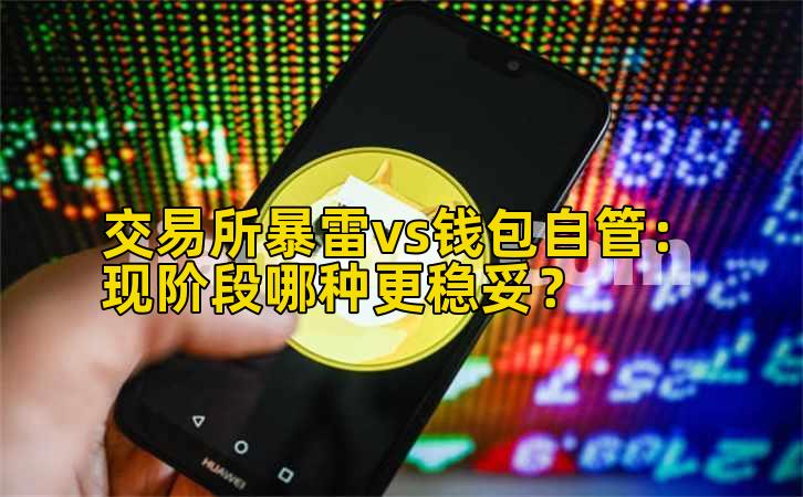 交易所暴雷vs钱包自管:现阶段哪种更稳妥?