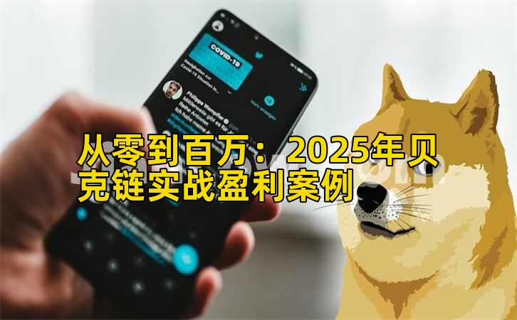 从零到百万：2025年贝克链实战盈利案例