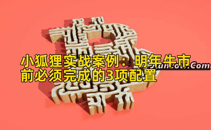 小狐狸实战案例:明年牛市前必须完成的3项配置