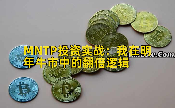 MNTP投资实战：我在明年牛市中的翻倍逻辑