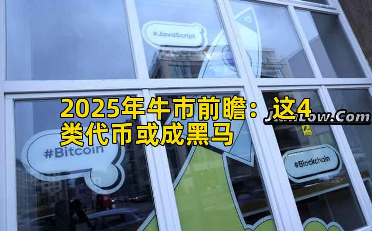 2025年牛市前瞻：这4类代币或成黑马