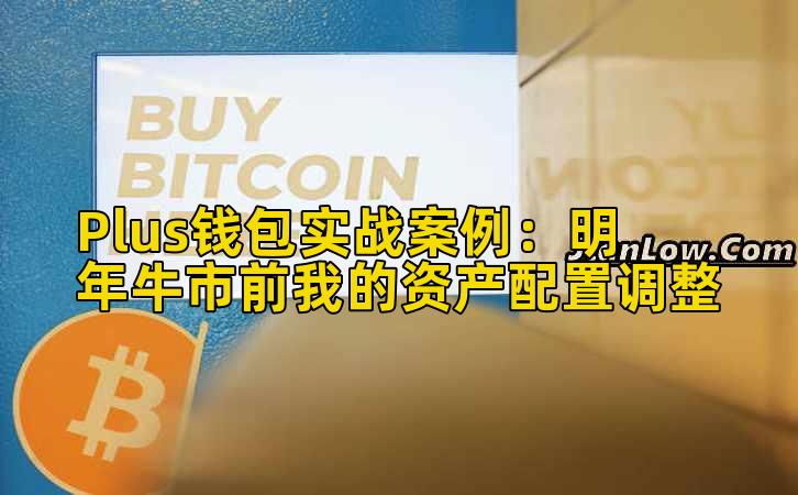 Plus钱包实战案例:明年牛市前我的资产配置调整