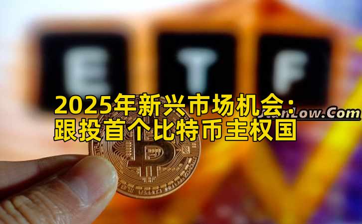 2025年新兴市场机会：跟投首个比特币主权国