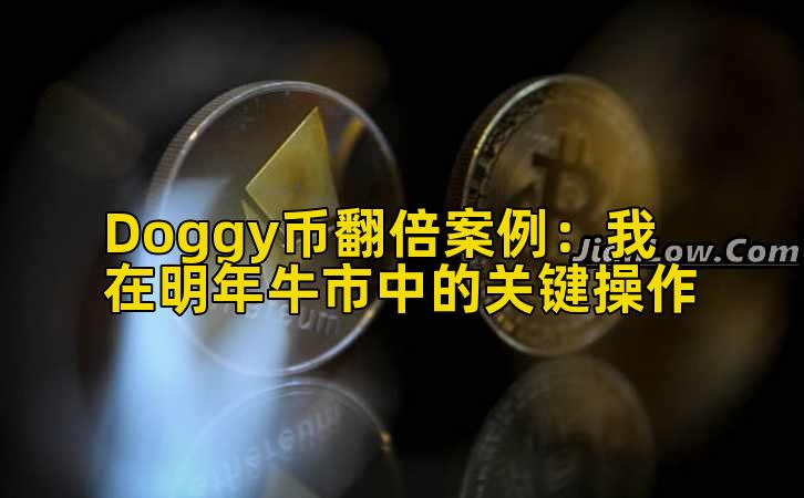 Doggy币翻倍案例：我在明年牛市中的关键操作