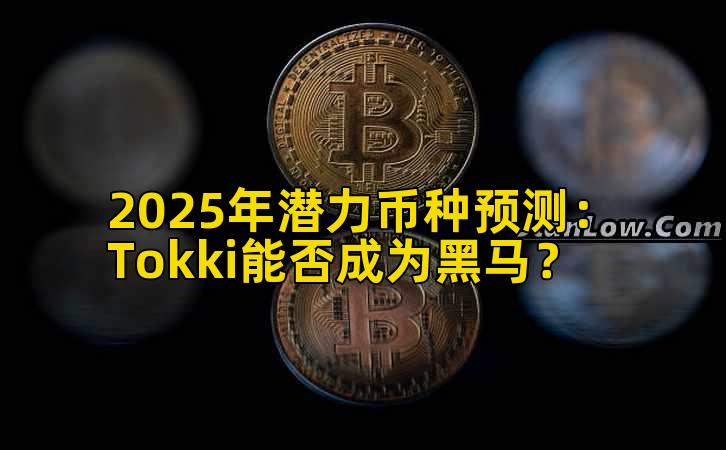 2025年潜力币种预测：Tokki能否成为黑马？