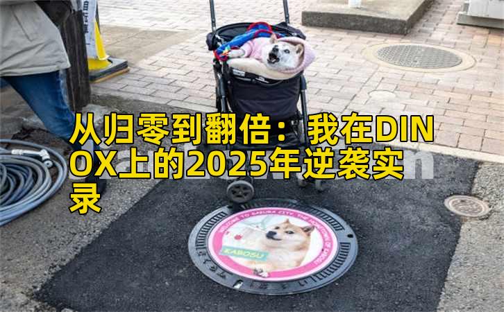从归零到翻倍：我在DINOX上的2025年逆袭实录