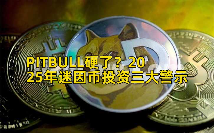 PITBULL硬了？2025年迷因币投资三大警示