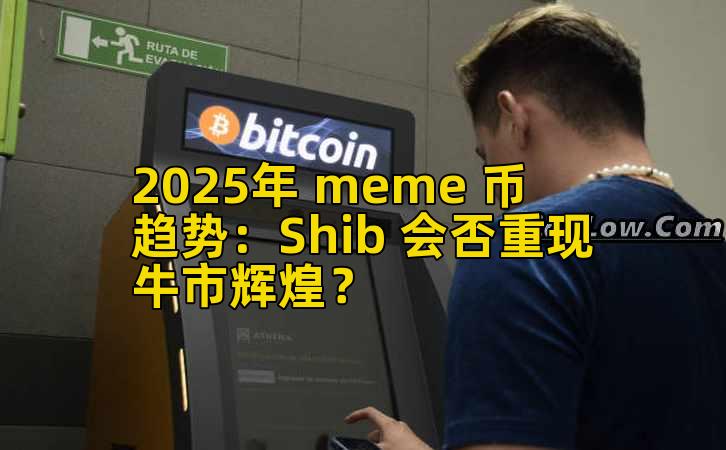 2025年 meme 币趋势：Shib 会否重现牛市辉煌？