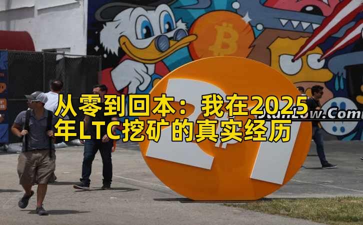 从零到回本：我在2025年LTC挖矿的真实经历
