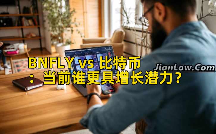 BNFLY vs 比特币:当前谁更具增长潜力?