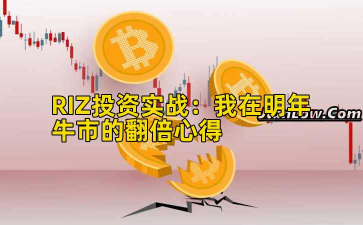 RIZ投资实战：我在明年牛市的翻倍心得